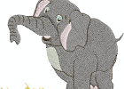 Elefant