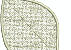 fslmagnolia leaf