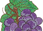 4x4-grape-embroidery-design-285