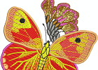 4X4-butterfly-embroidery-design-295