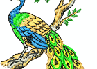 4X4-peacock-embroidery-design-291