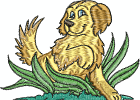 goldenretrievers-10