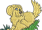goldenretrievers-4