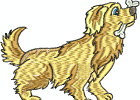 goldenretrievers-6