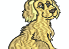 goldenretrievers-7