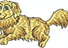 goldenretrievers-8