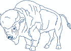 nativeamericanbuffalospirit 001 5x7