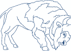 nativeamericanbuffalospirit 005 5x7