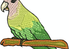 redheadparrot