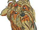 yorkie3